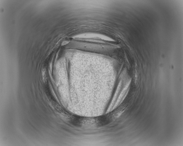 X0000053050123200508081138