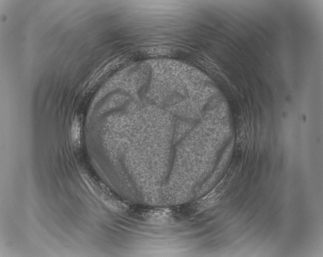 X0000053050124200508081138