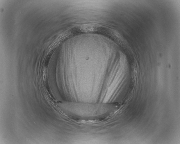 X0000053050125200508081138