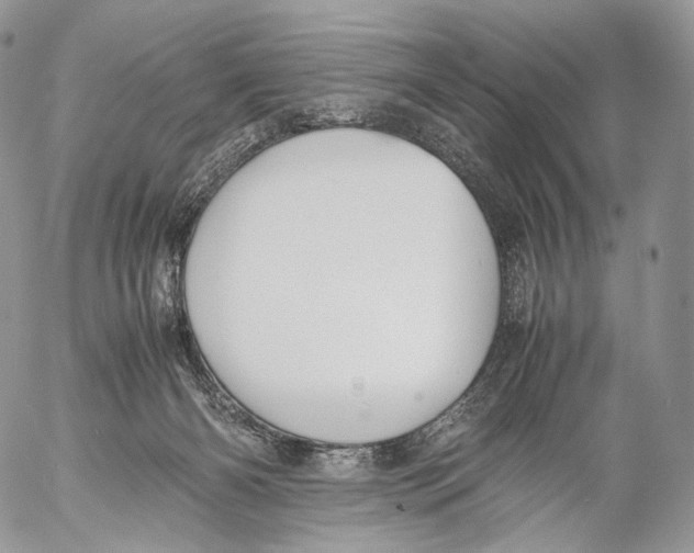 X0000053050126200508081138