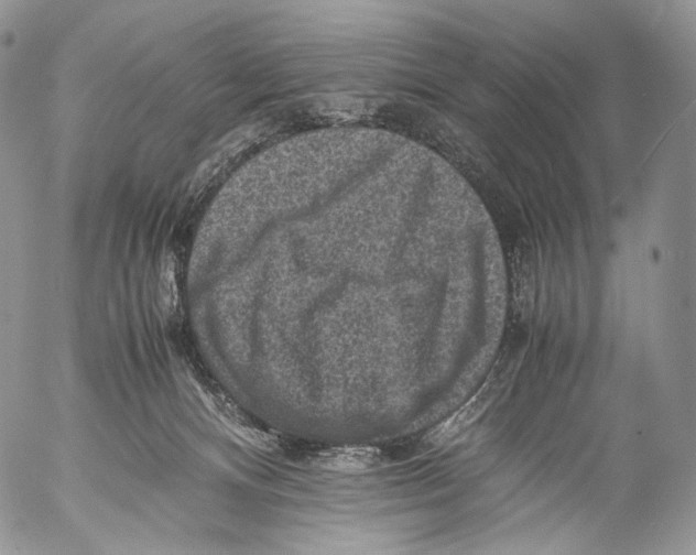 X0000053050128200508081138