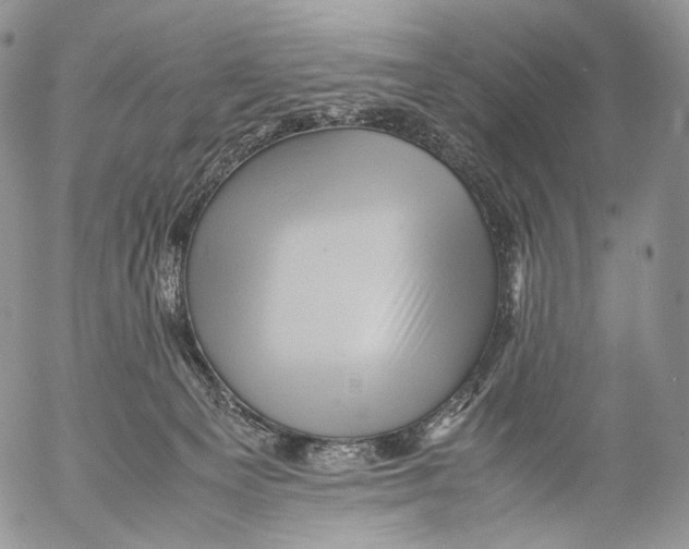 X0000053050129200508081138