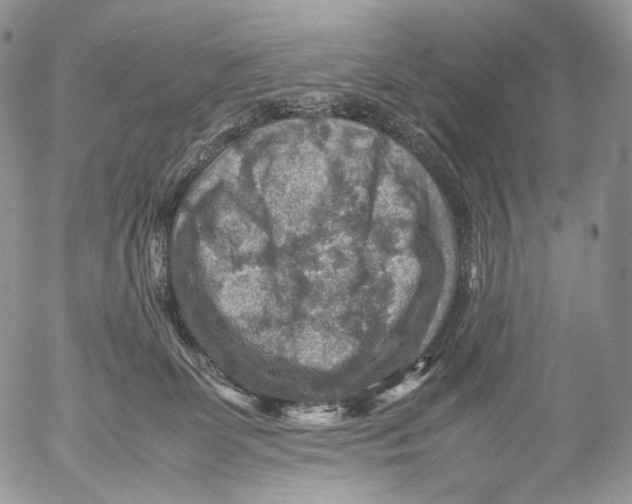 X0000053050131200508081138