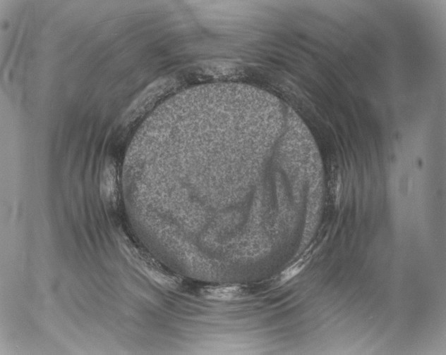 X0000053050132200508081138