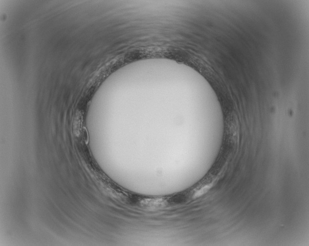 X0000053050133200508081138