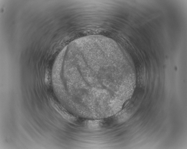 X0000053050134200508081138