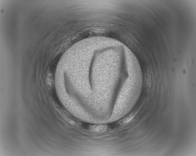 X0000053050135200508081138