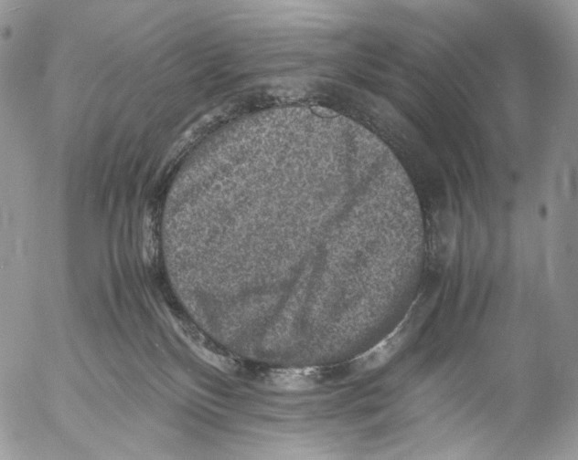 X0000053050136200508081138