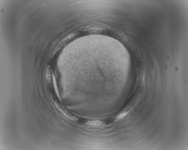 X0000053050137200508081138