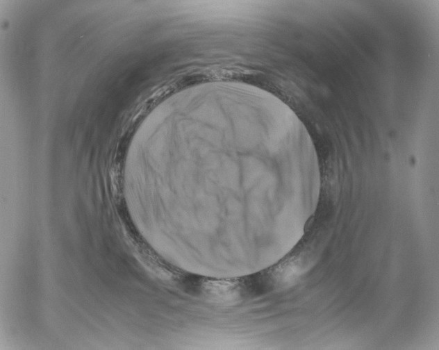 X0000053050139200508081138