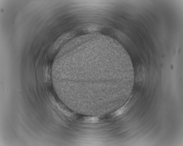 X0000053050140200508081138