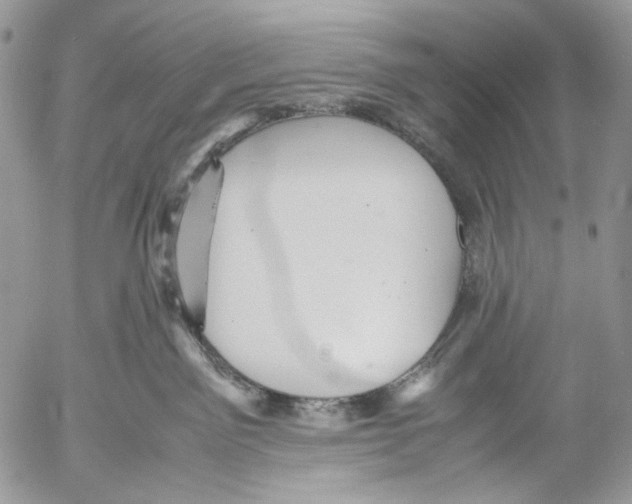 X0000053050141200508081138