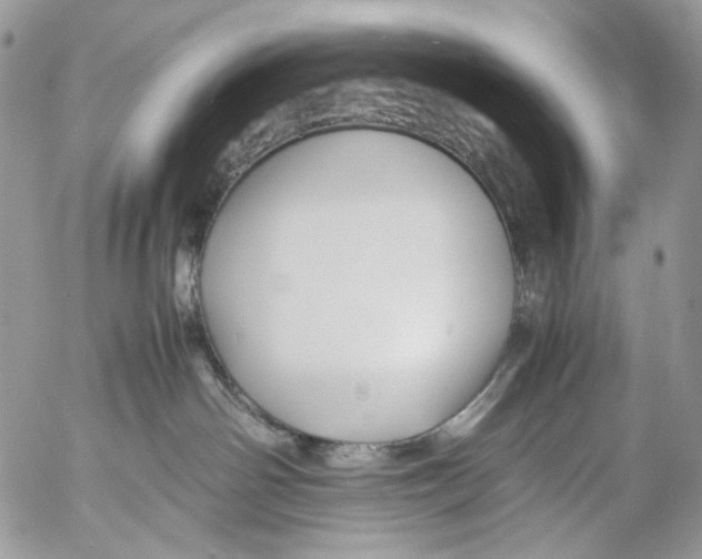 X0000053050142200508081138