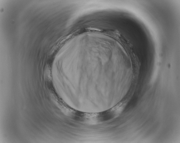 X0000053050143200508081138