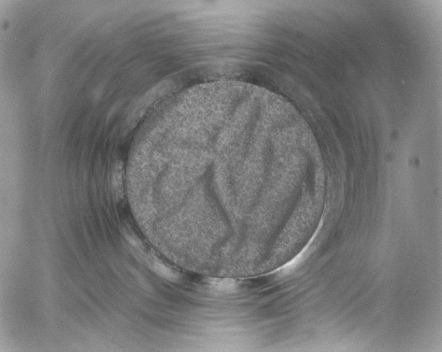 X0000053050144200508081138