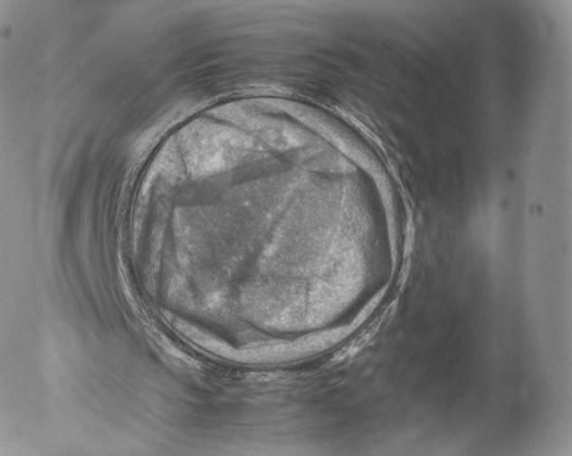 X0000053050145200508081137