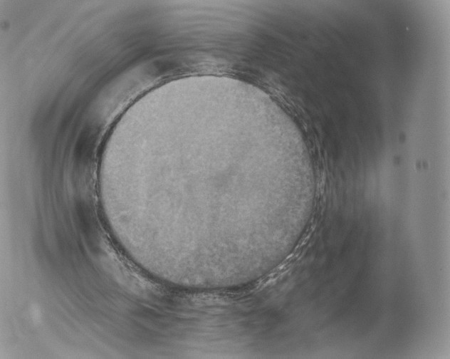 X0000053050146200508081137