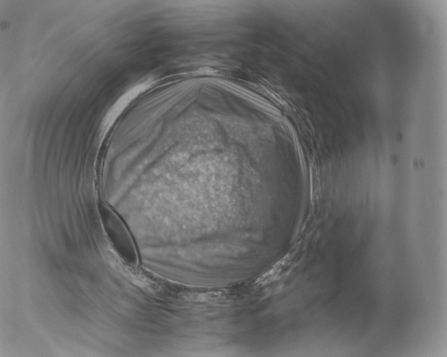 X0000053050147200508081137