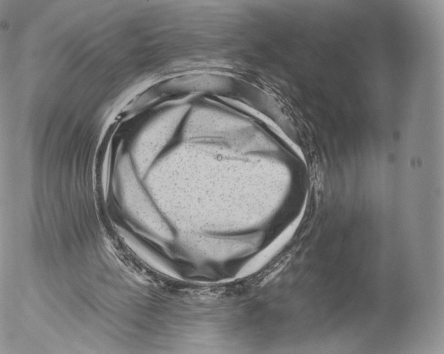 X0000053050148200508081137