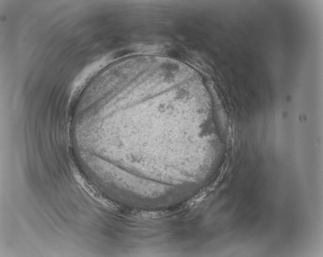 X0000053050149200508081137