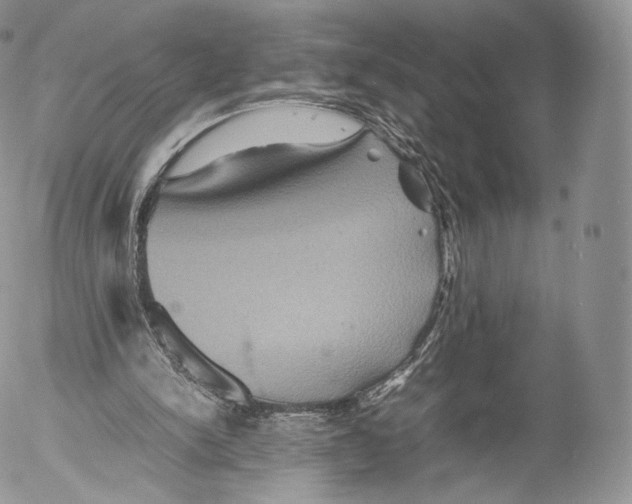 X0000053050150200508081137