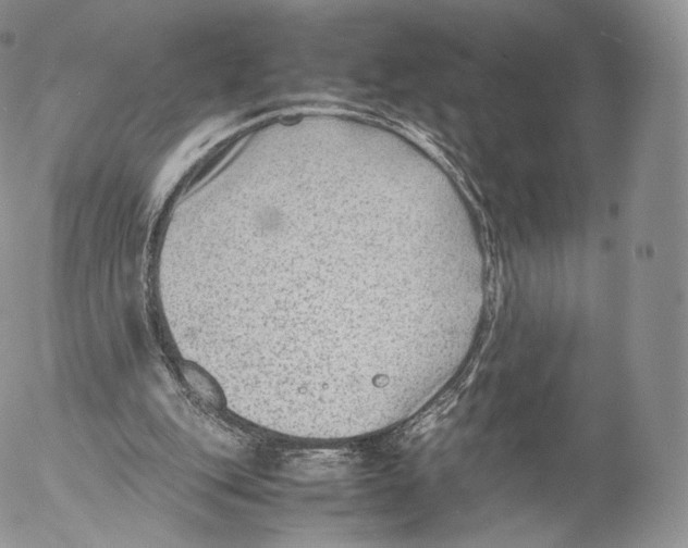 X0000053050151200508081137