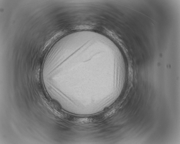 X0000053050153200508081137