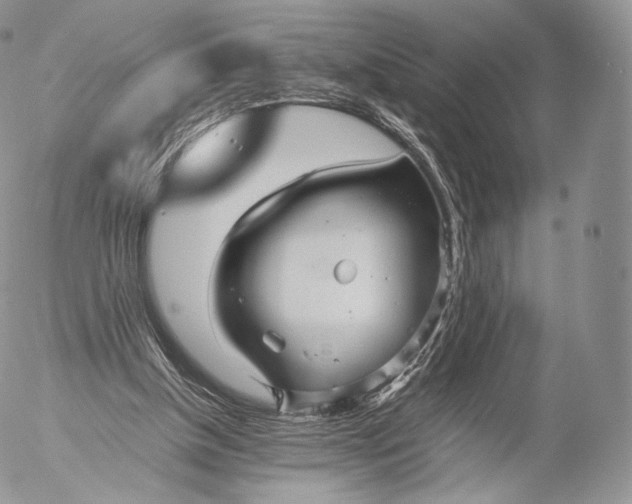 X0000053050154200508081137