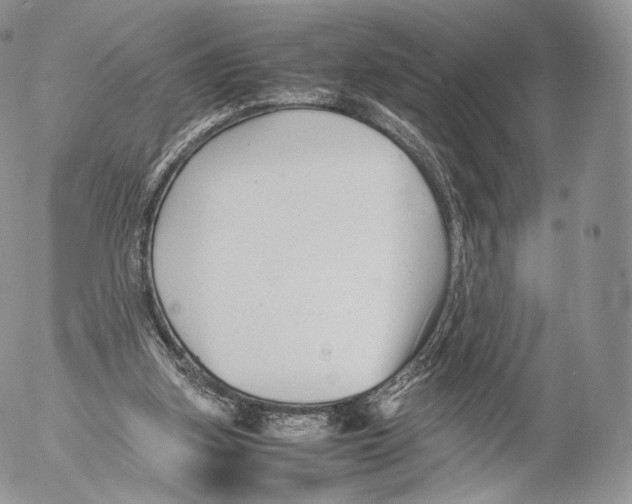 X0000053050155200508081137