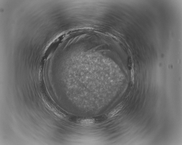 X0000053050156200508081137