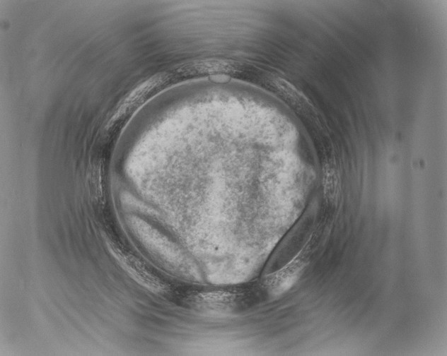 X0000053050158200508081137