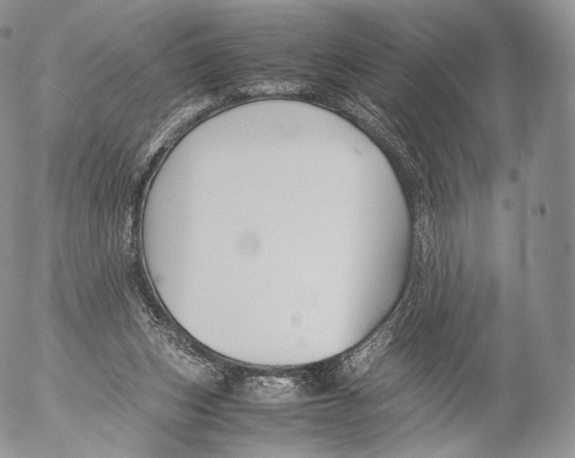 X0000053050159200508081137