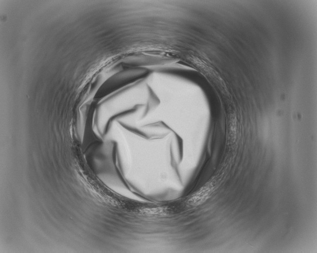 X0000053050160200508081137