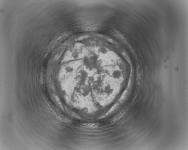 X0000053050161200508081137