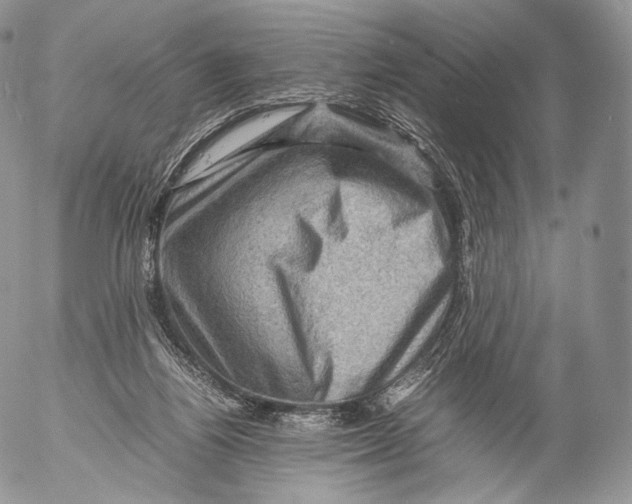 X0000053050164200508081137