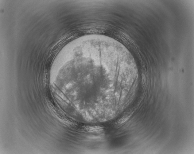 X0000053050165200508081137