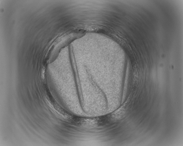 X0000053050166200508081137