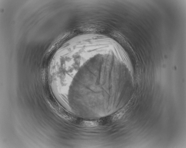 X0000053050167200508081137