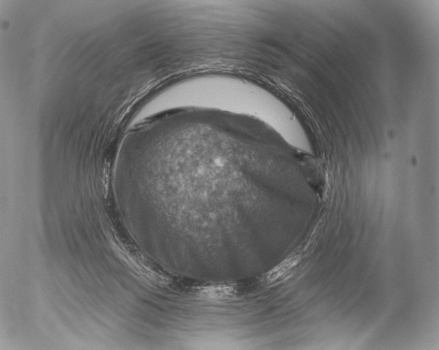 X0000053050168200508081137