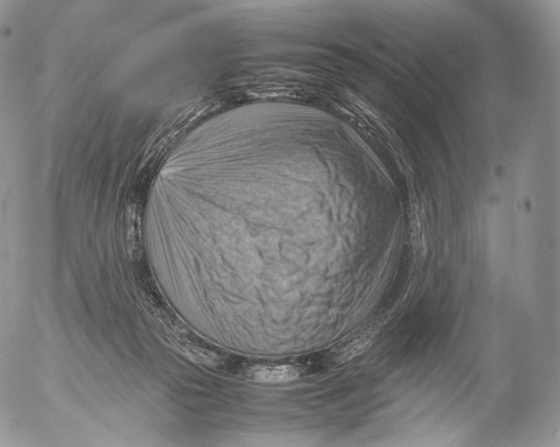 X0000053050169200508081137