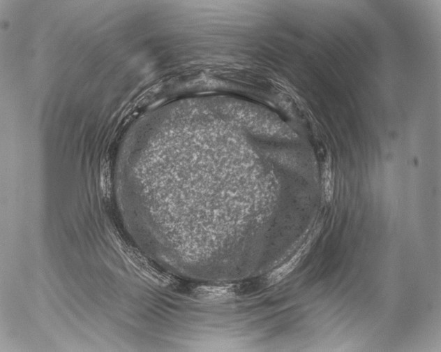 X0000053050170200508081137