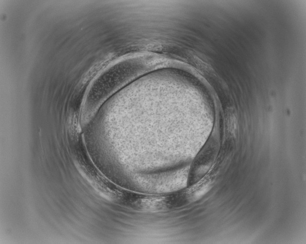 X0000053050172200508081138