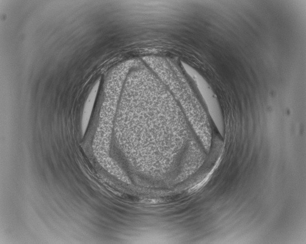 X0000053050174200508081138