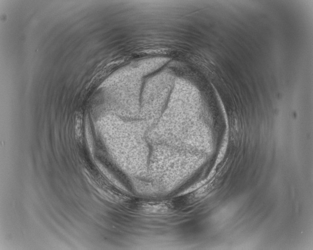 X0000053050175200508081138