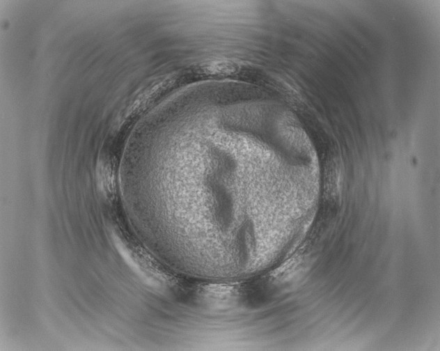 X0000053050176200508081138