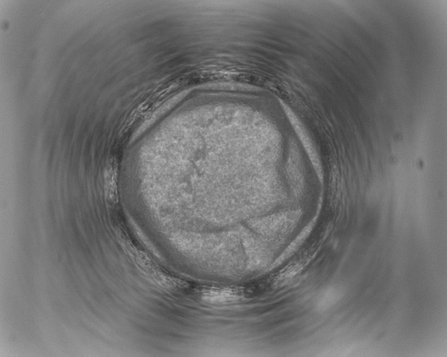 X0000053050177200508081138