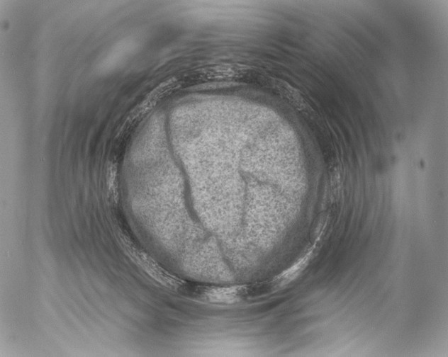 X0000053050178200508081138