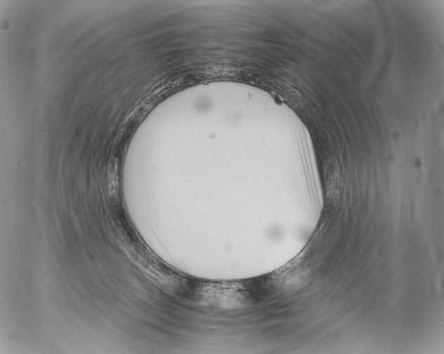 X0000053050179200508081138