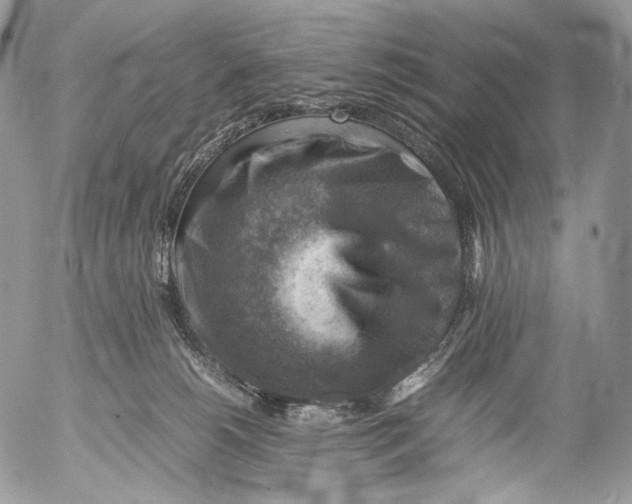 X0000053050180200508081138