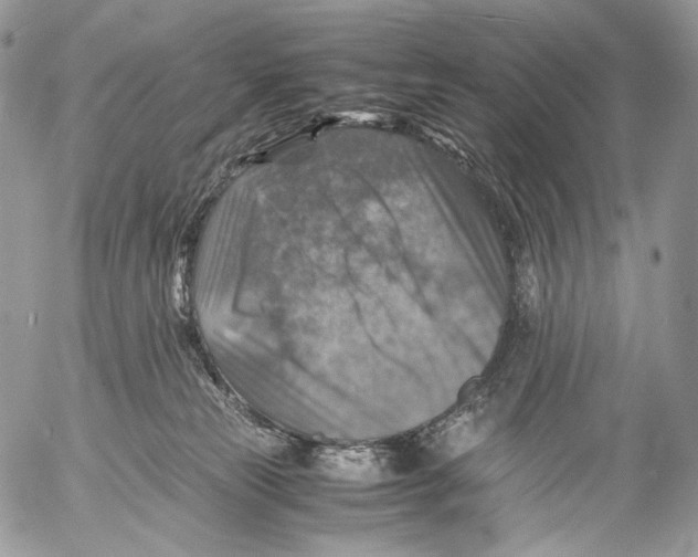 X0000053050181200508081138